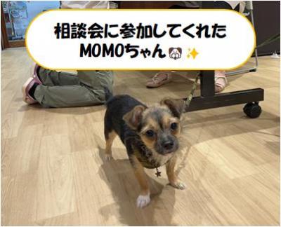 飼育相談会に参加してくれたMOMOちゃん