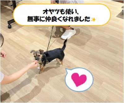 おやつ等を使い仲良くなった様子