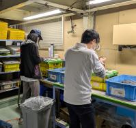 工場見学の様子