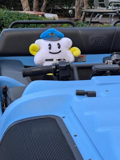 メイプル君の様子