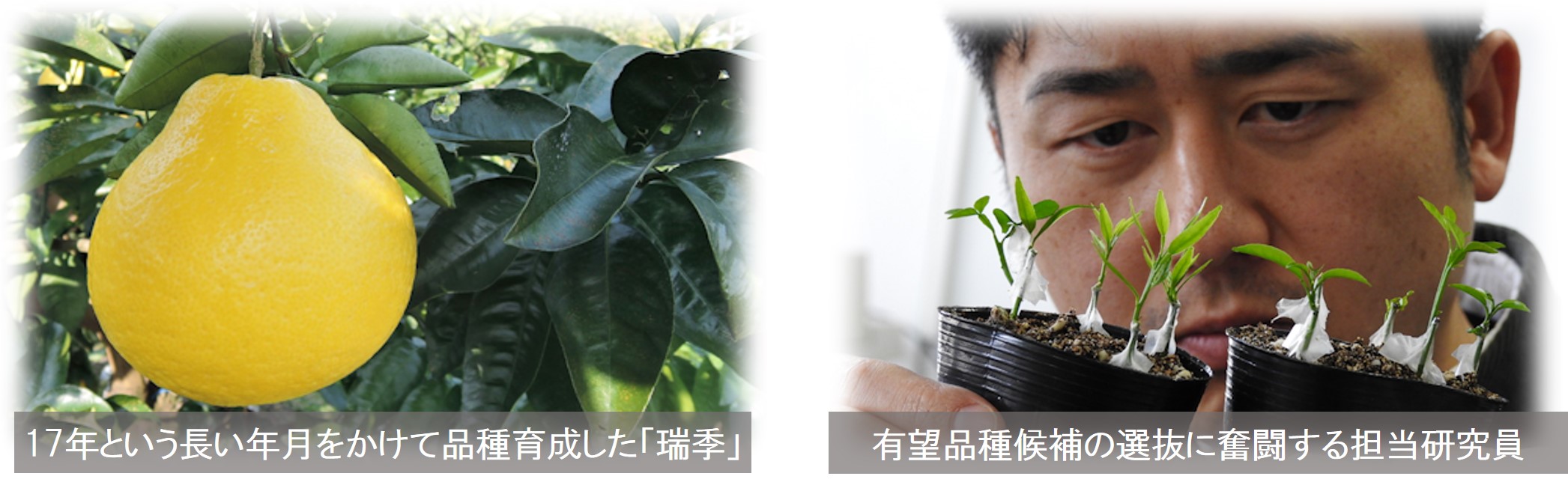 141号の巻頭言の写真