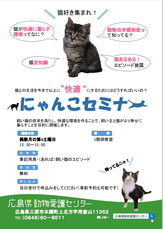 にゃんこセミナ