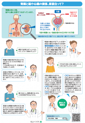 厚生労働省リーフレット裏