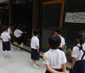 センター施設を見学する生徒たち2