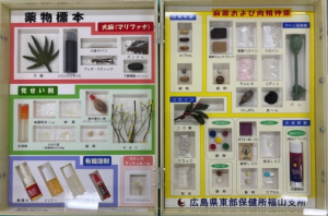 薬物標本