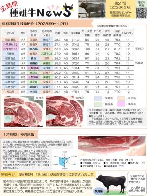 種雄牛ニュース27号