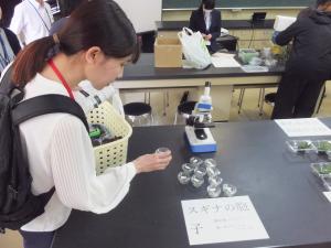 顕微鏡での観察