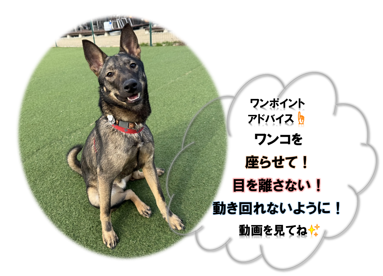 ワンポイントアドバイス