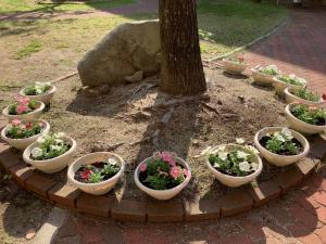 ピースフラワーとのコラボレーション