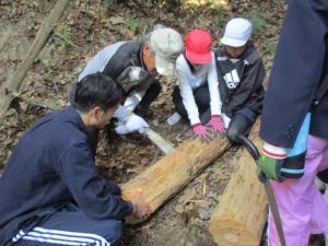 里山再生プロジェクト