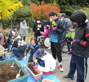 プランターの整備