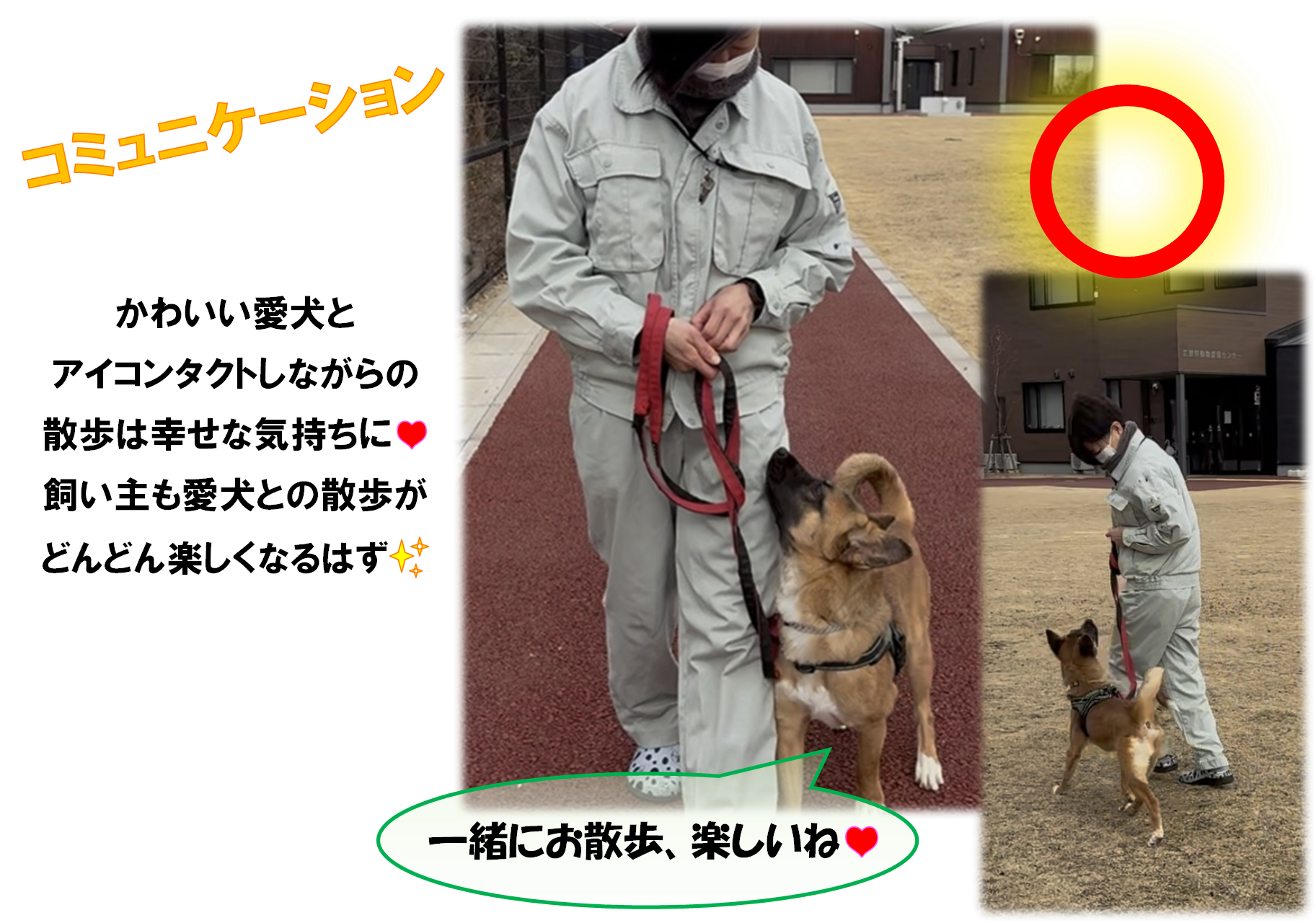 リードのマナー3