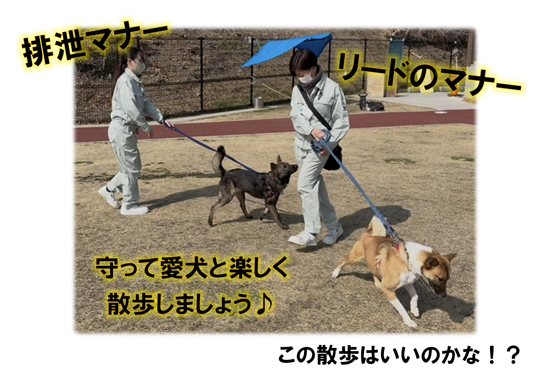 排泄・リードのマナー待って