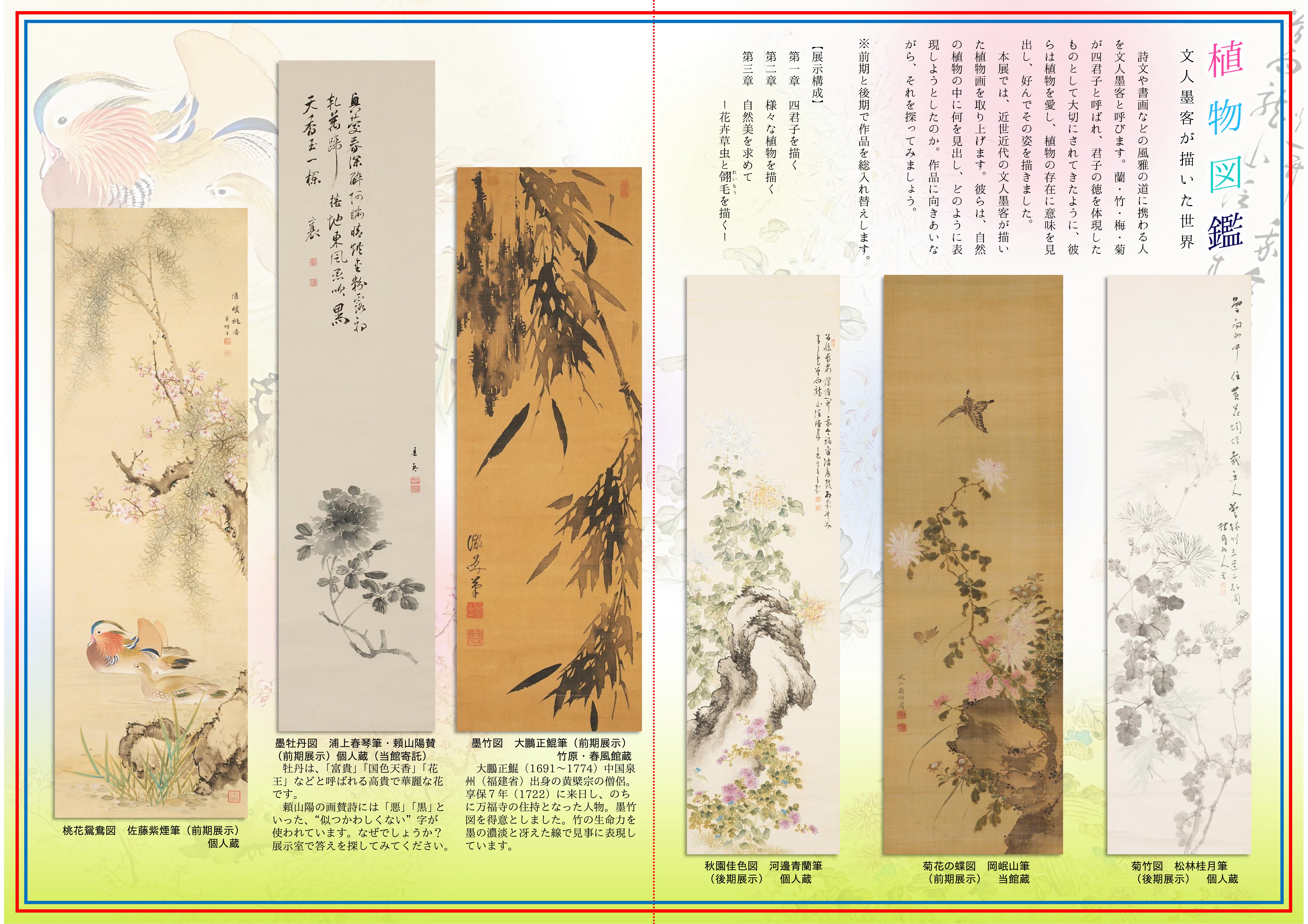 植物図鑑チラシ（裏）