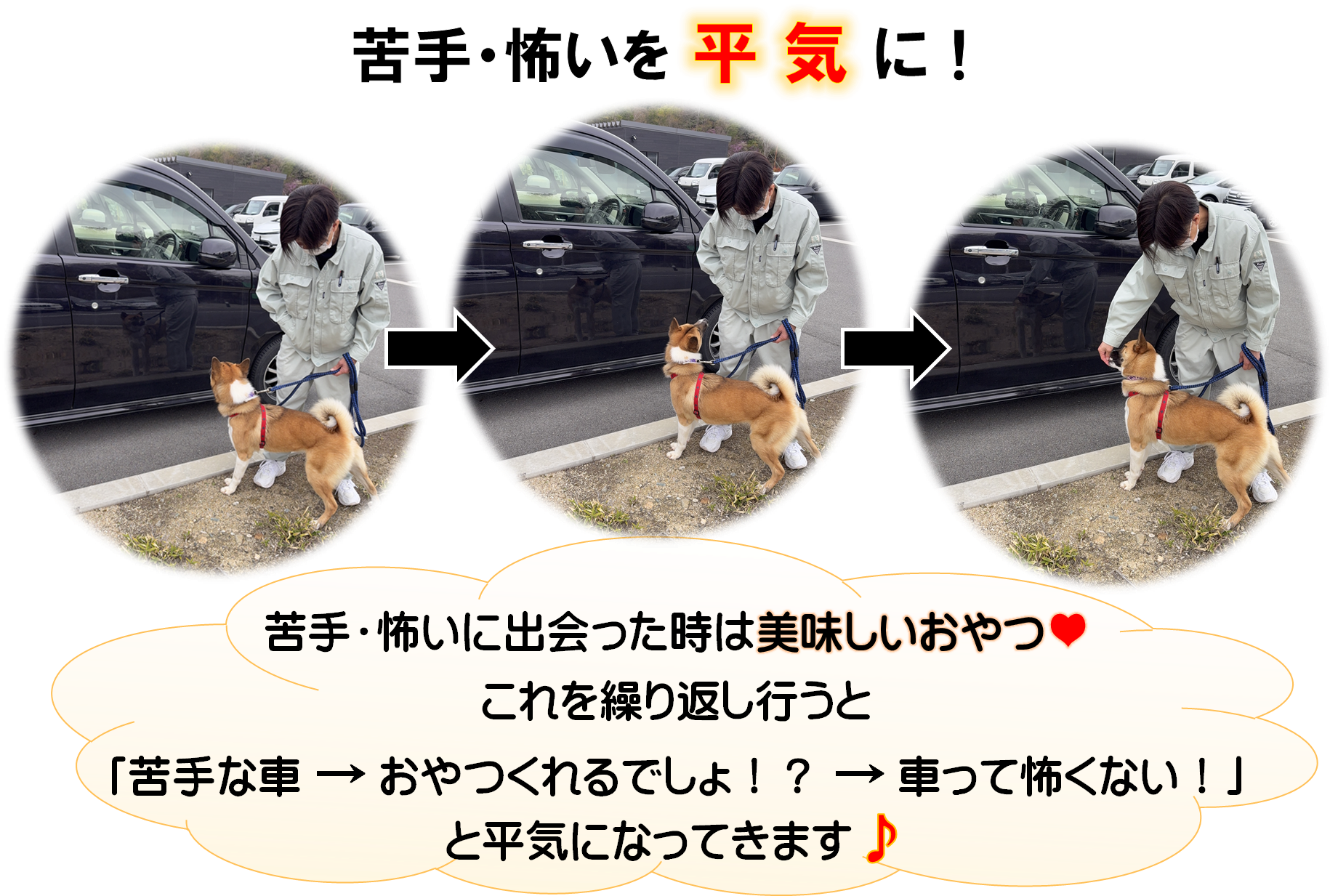 苦手・怖いを平気に１