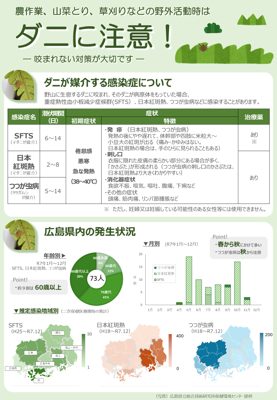 チラシ表