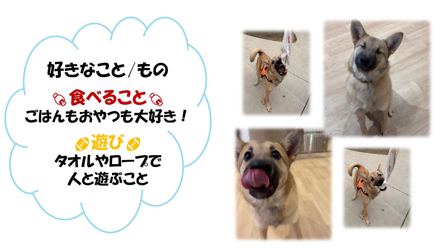 さんば２