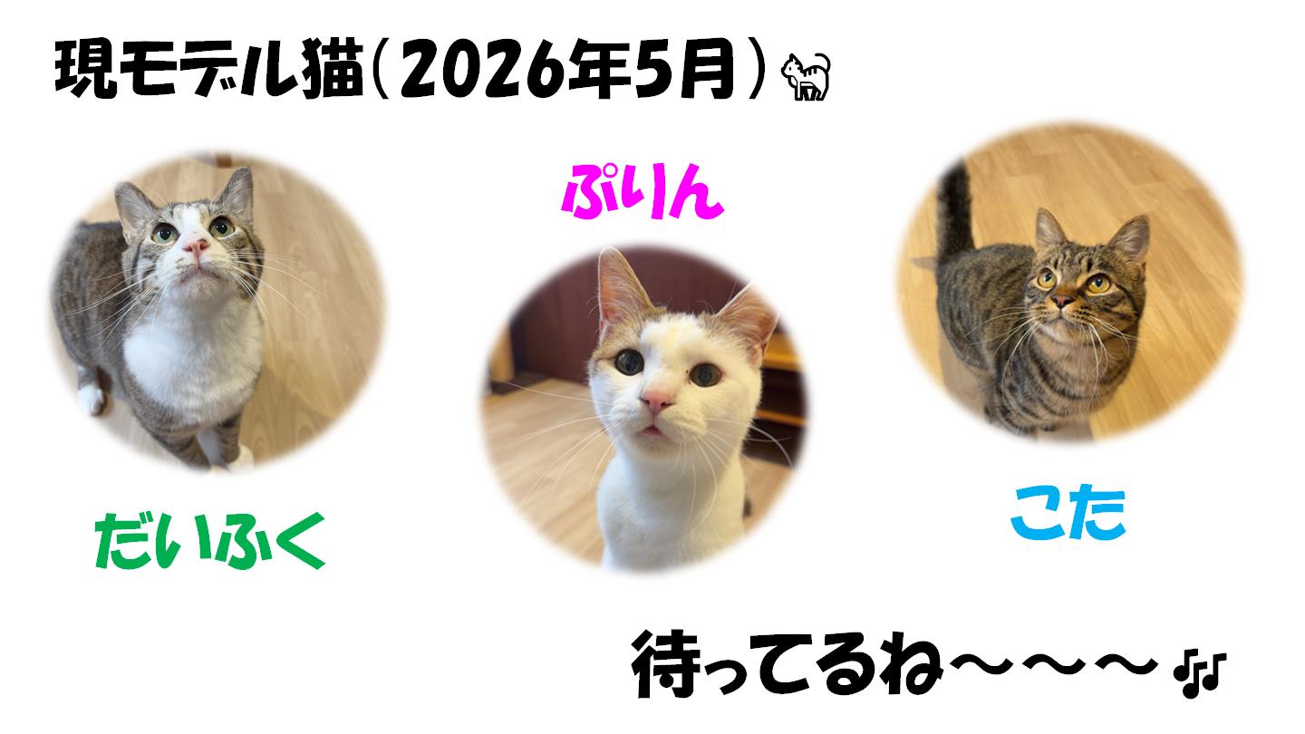 ４