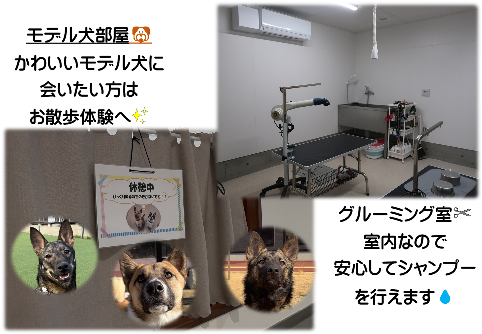 モデル犬部屋