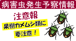 あ