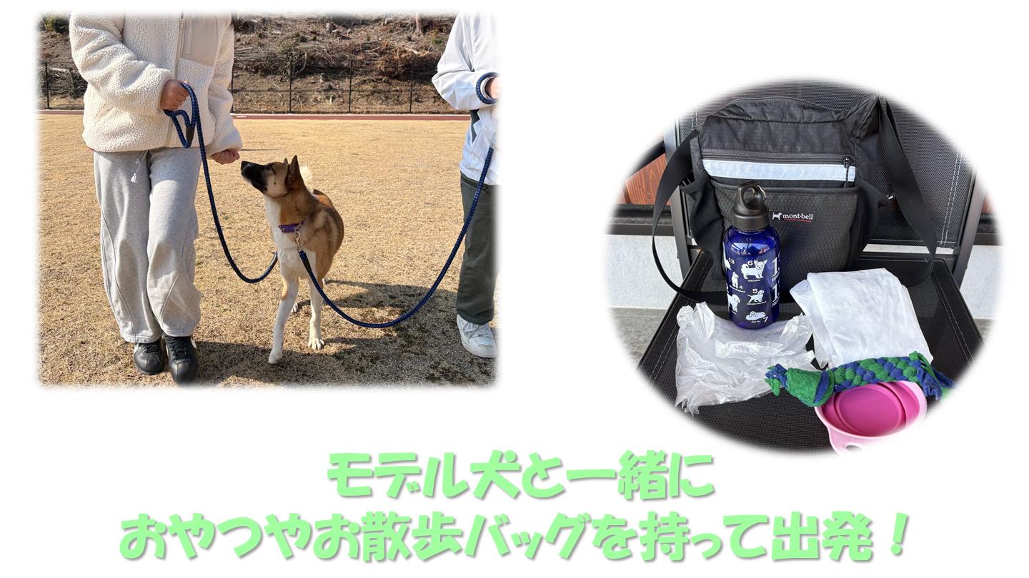 お散歩体験2