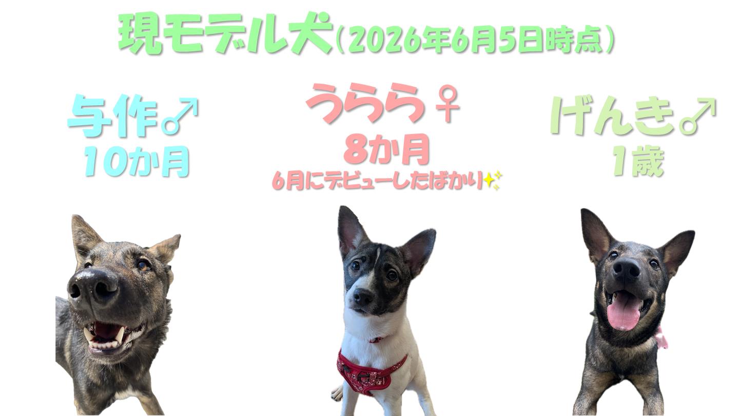 お散歩体験3