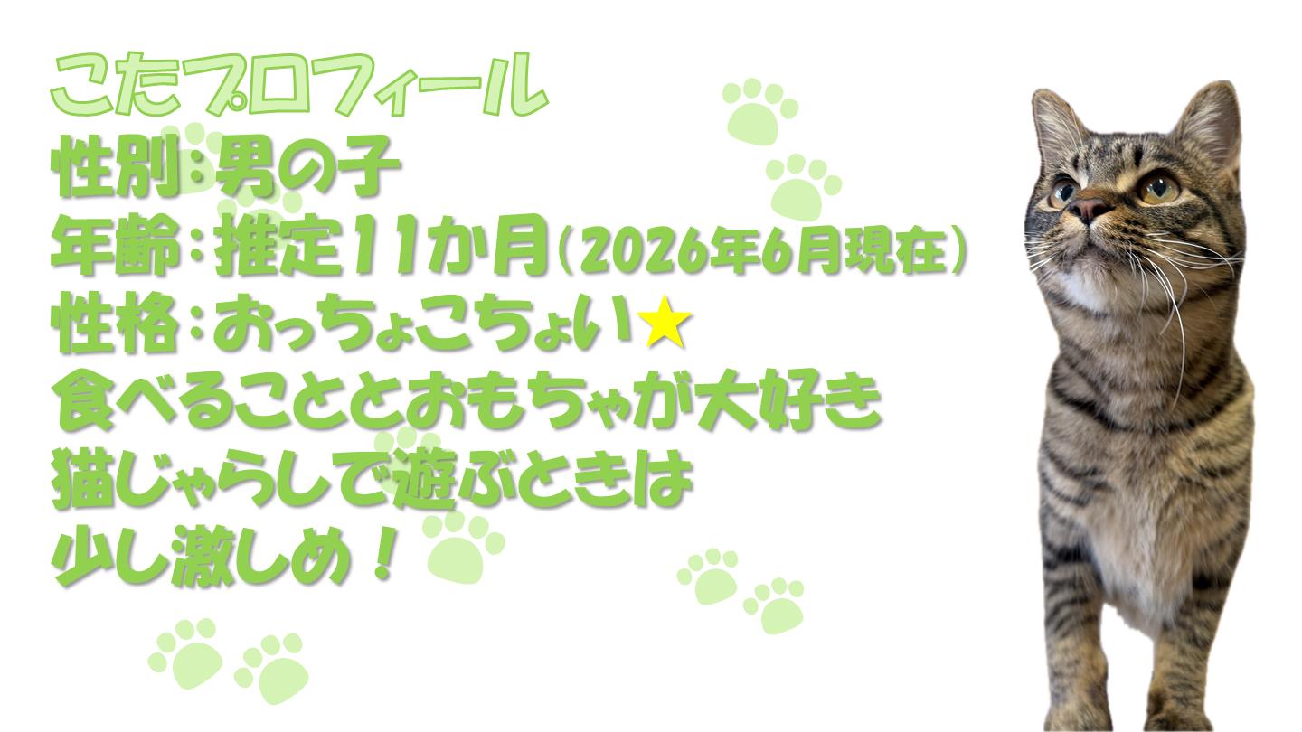 こた