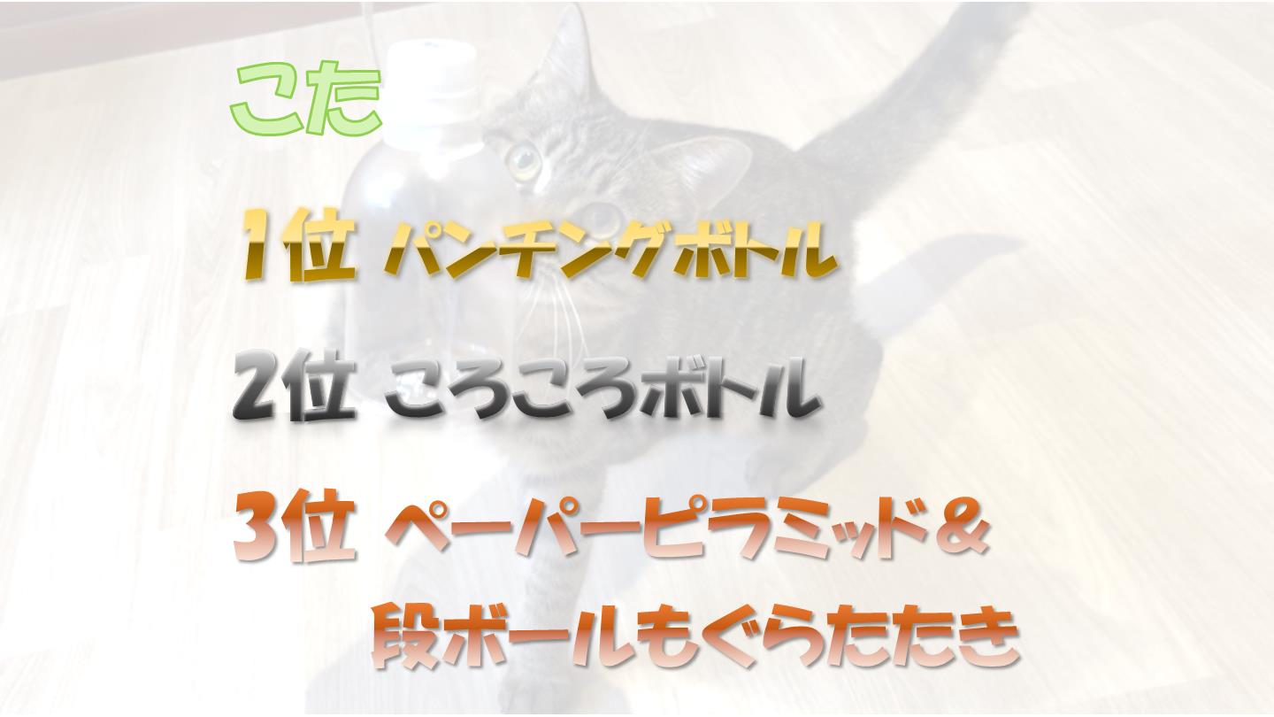 こた２