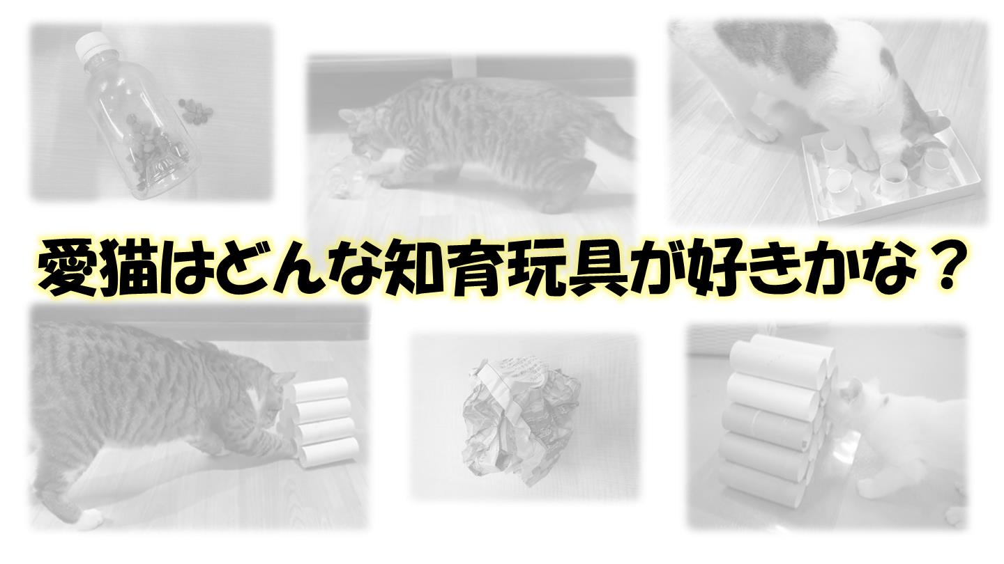 知育玩具３