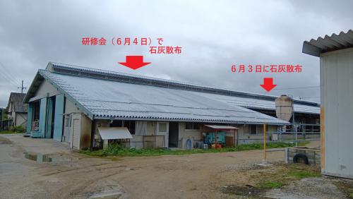 石灰散布4日後の屋根