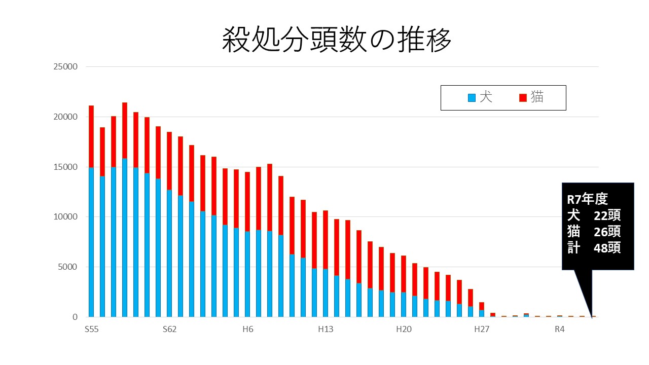 殺処分の推移