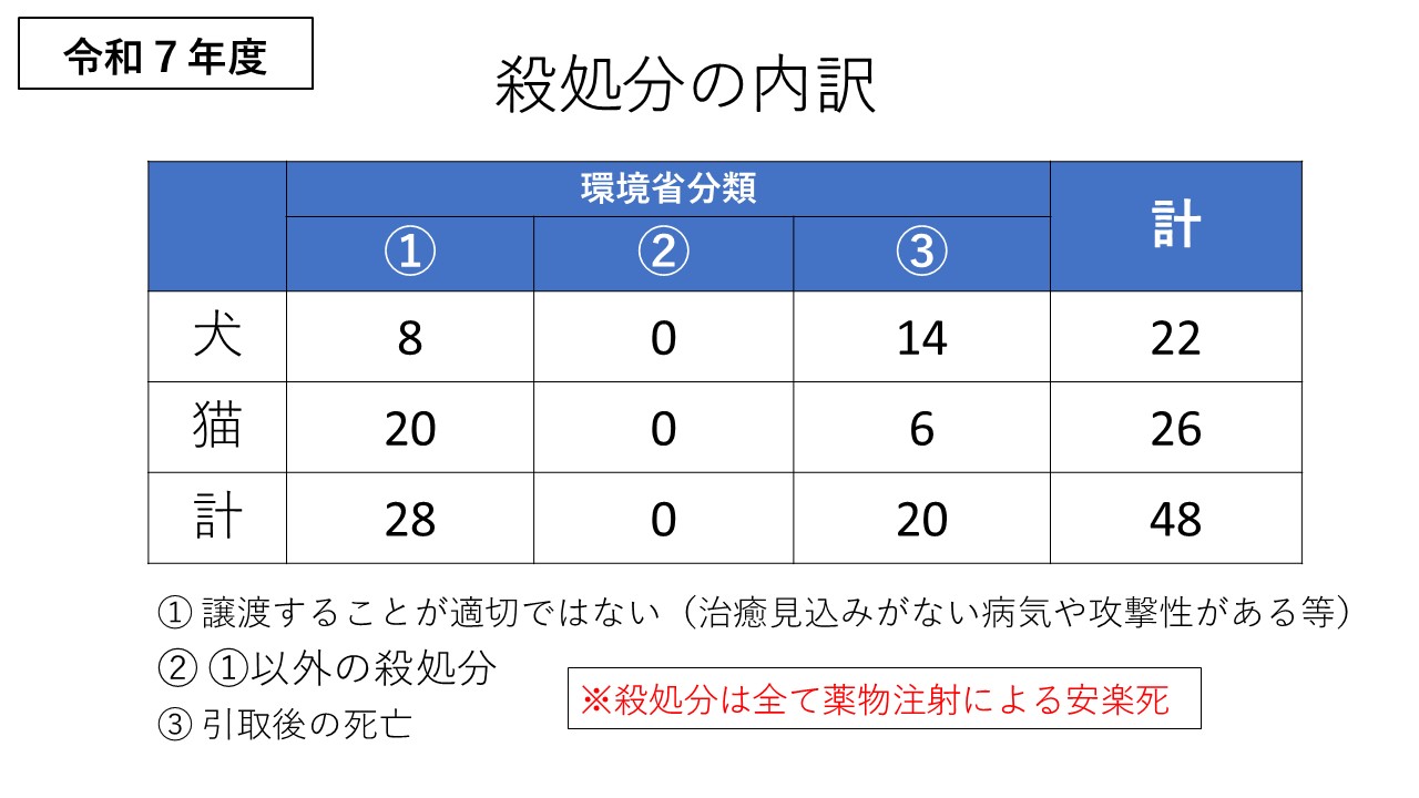 殺処分の内訳
