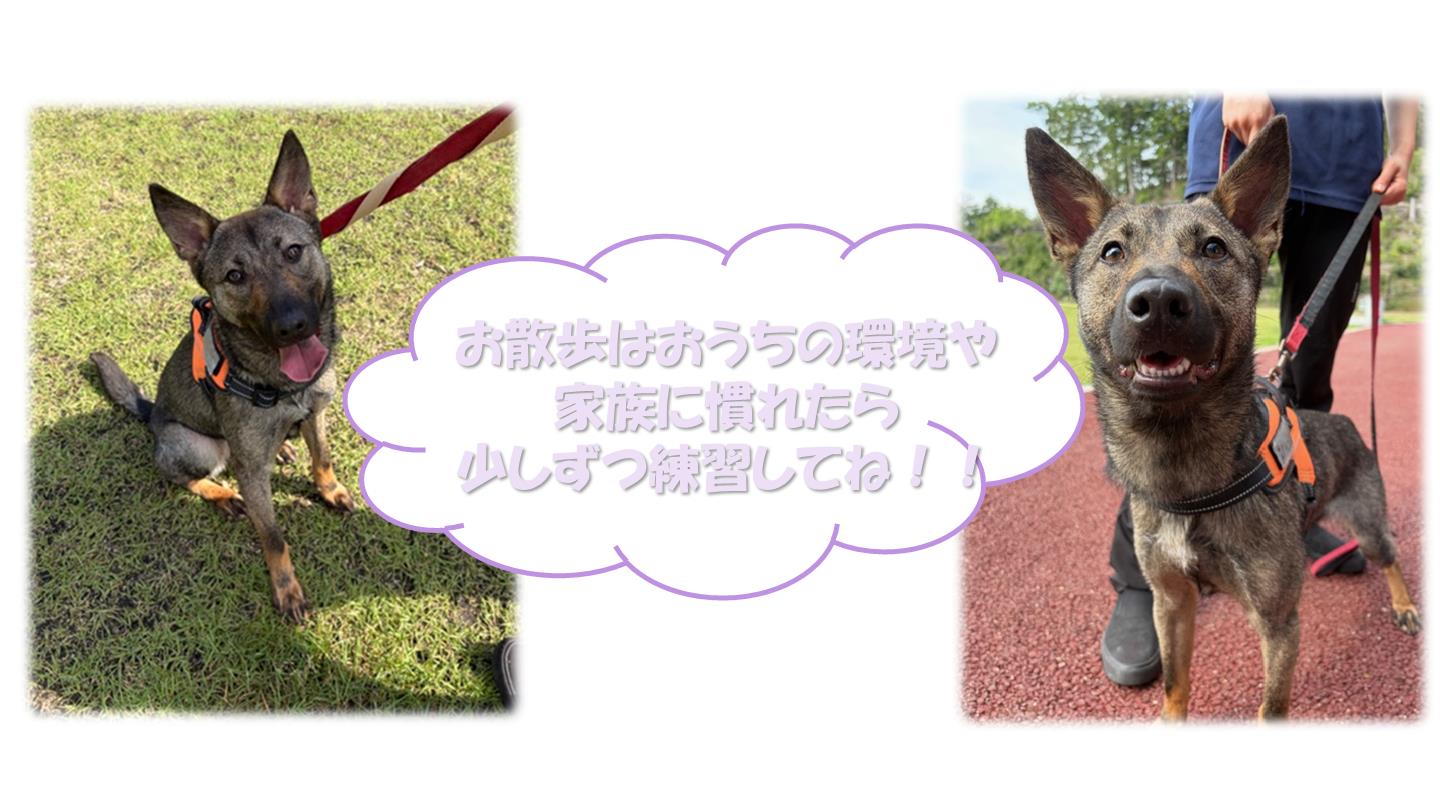４