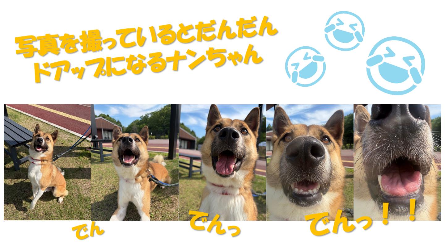 ４
