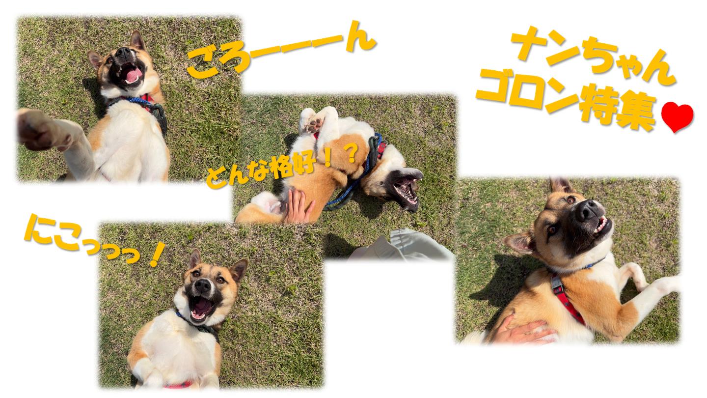 ５