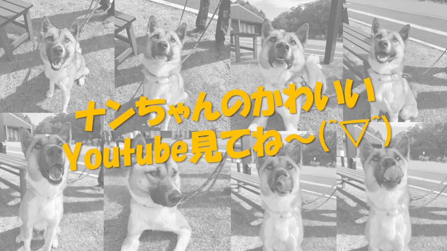 ６