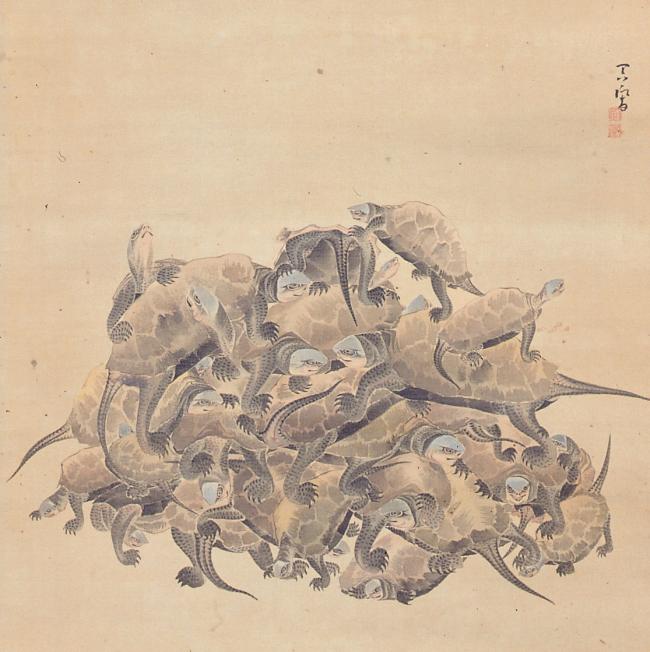 大原吞響画「百亀図(部分)」の画像