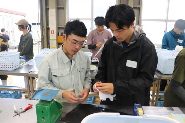 トマト調製２