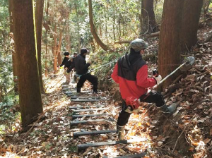 住民による歩道周りの伐採整備