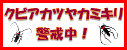 https://www.pref.hiroshima.lg.jp/site/tayousei/kubiakatuyakamikiri.html