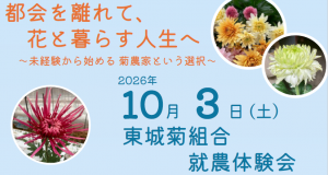 10月3日東城菊組合就農体験会開催