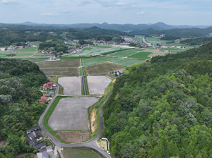 西大田地区