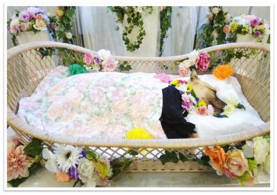 花に囲まれて眠る諭吉