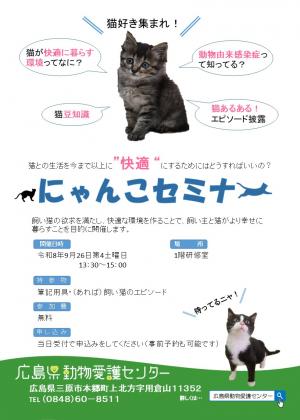 にゃんこセミナー
