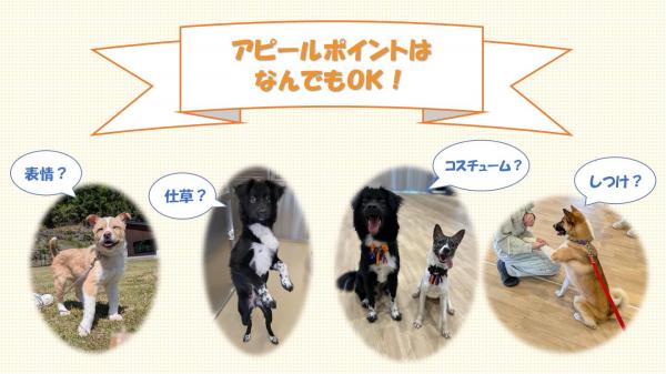 自慢大会のアピールポイントはなんでもＯＫ！