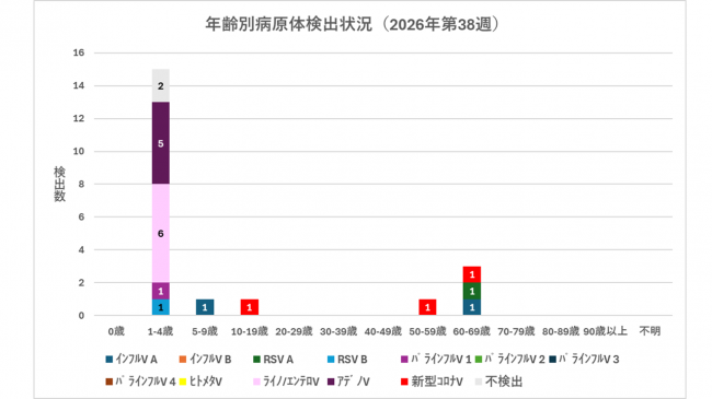 年齢別グラフ