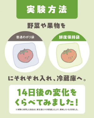 実験方法