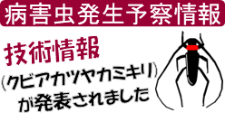 あ
