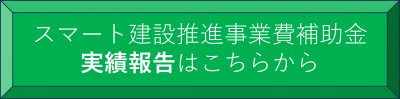 実績報告