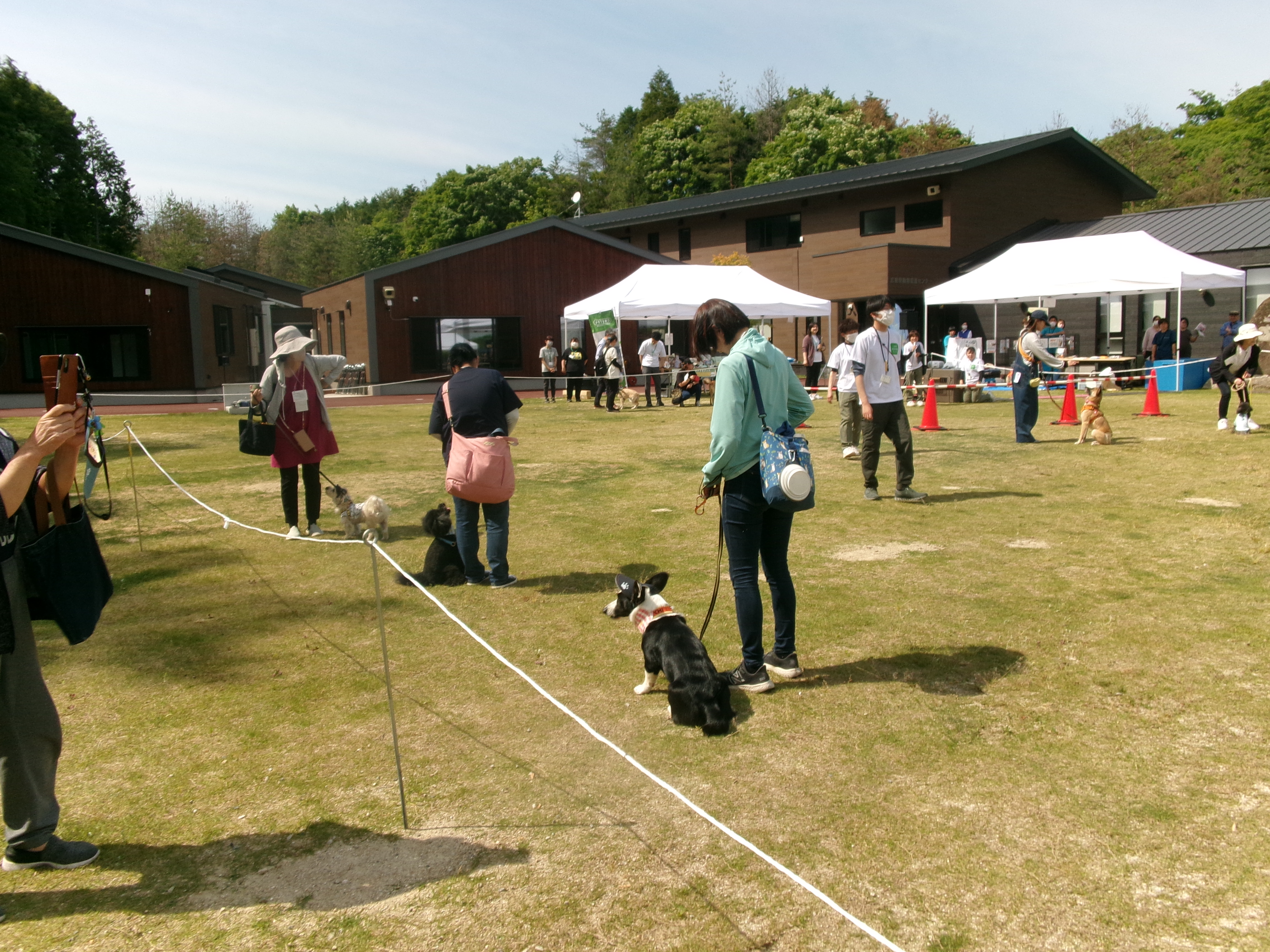 犬おすわりゲーム